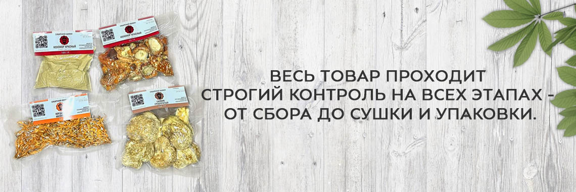 Мухоморы в Иркутске